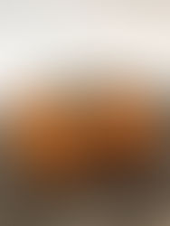 Keto Saté Kroketten 2 st.