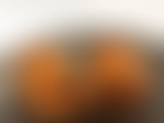 Keto Saté Kroketten 2 st.