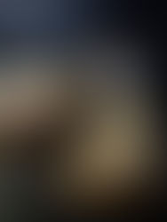 Appel Crumble Kwarktaart