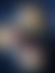 Keto Passievrucht Custard Tartellete