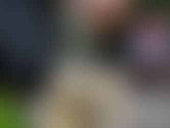 Keto Bananensplit Pudding