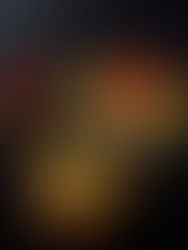 Gevulde Paprika met Rucola Pesto