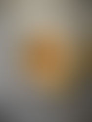 Keto Ontbijt pudding Speculoos