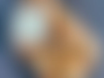 Keto Roomkaas Borrelbroodjes 12 st