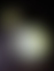 Keto Yoghurt Limoen Taart