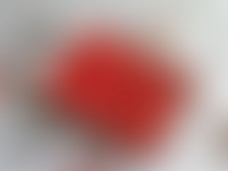 Keto Macarons ± 30st