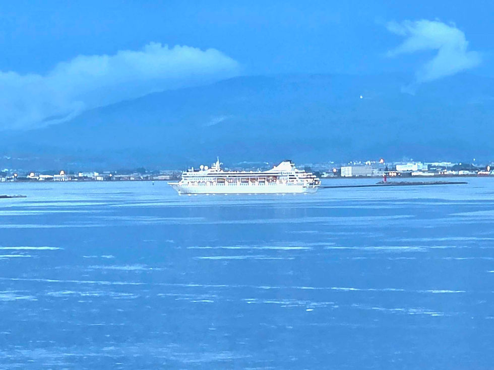 The sun was setting and her lights were coming on as she left port. She is pretty