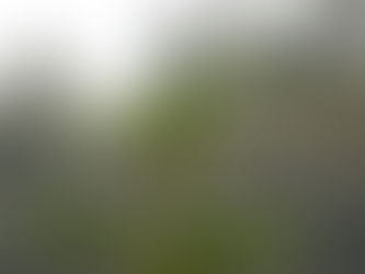 Well.  Let's Start This Trip