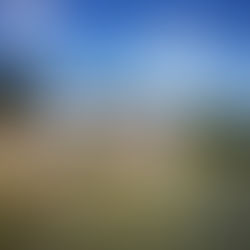 Kiosk KALULUWA am Start