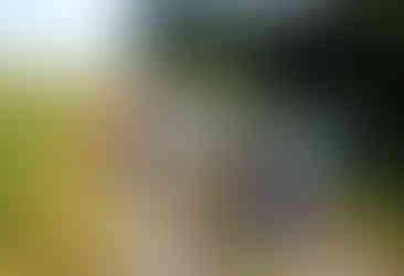 Klassenfahrt_Ausflüge_Grundschule_Hort_Wassersport_Kalayaan_Andreas_Hompesch_Partwitzer_See