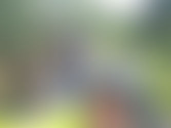 Start in die Sommerferien 2021