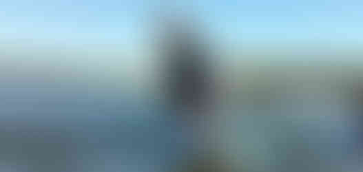 Windsurfen_Lausitzer_Seenland_Oberlausitz_Wassersport_Wassersportschule_Kalayaan_Andreas_Hompesch_Partwitzer_See