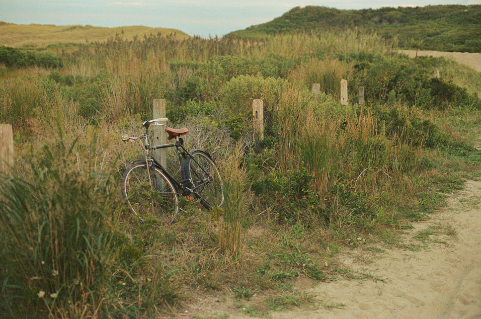 bicycle by the beach.jpeg