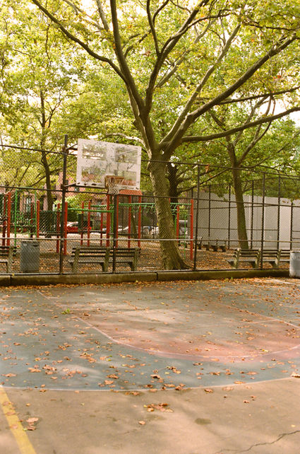 the concrete jungle.jpeg