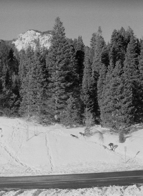strapping snow shoes.jpeg