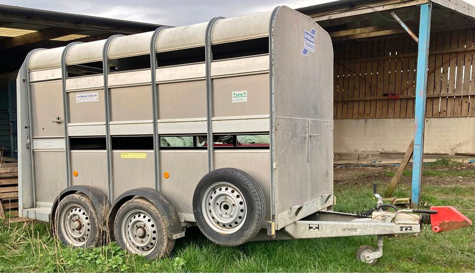 Thumbnail: 2016 IFOR WILLIAMS ta5g 10ft x 5ft with sheep decks