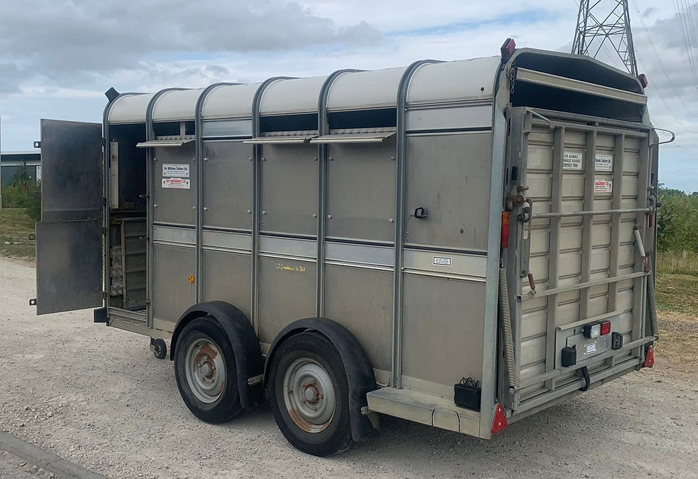 Thumbnail: USED IFOR WILLIAMS 12ft  CATTLE TRAILER with Decks -SORRY SOLD