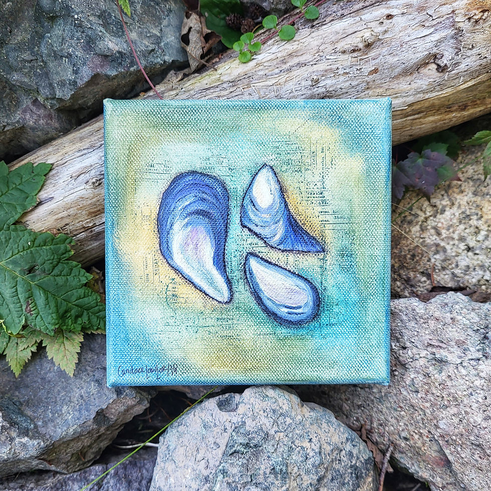 Seashell Canvas Art | Mussel Shell Painting | 6x6 inches