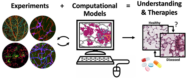Combining Experiments and Models.png