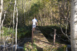 Old footbridge