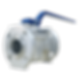 Sleeved Plug Valves