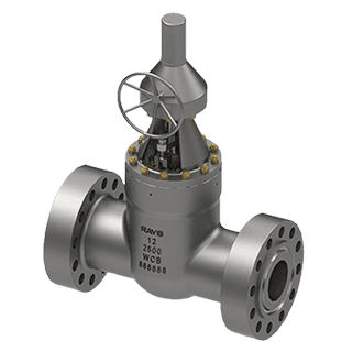 Pressure Sealed Gate Valves