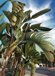 Untitled_Artwork 26.jpg