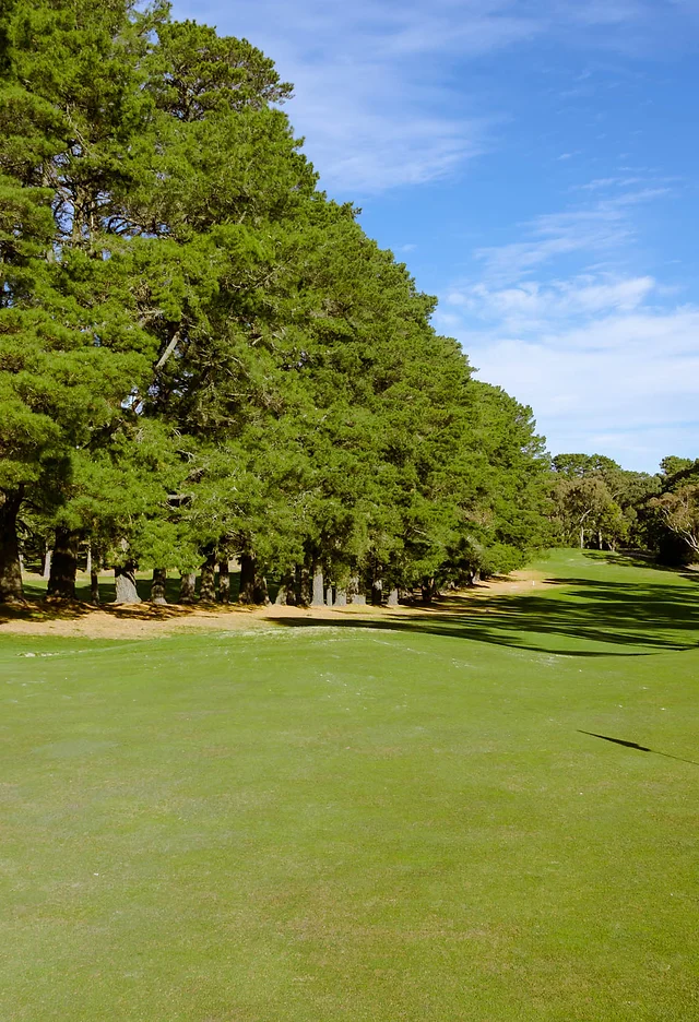 Golf Course Australia Mt Xavier Golf Course