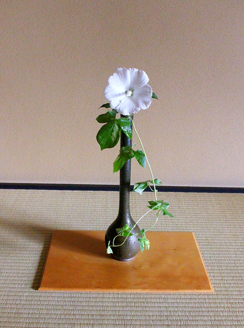 IMG_0087_edited.jpg