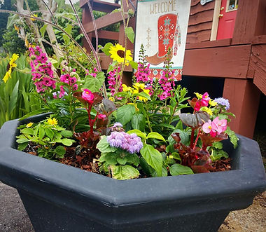 Flower garden and plants and soils