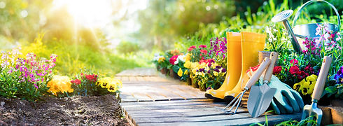 Gardening - Set Of Tools For Gardener And Flowerpots In Sunny Garden_.jpg