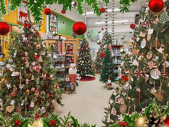Christmas trees and decor