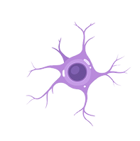 neuron.png