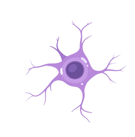 neuron.png