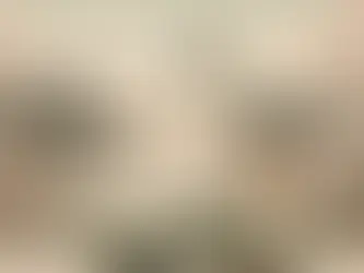 What are Japan's selling points? *