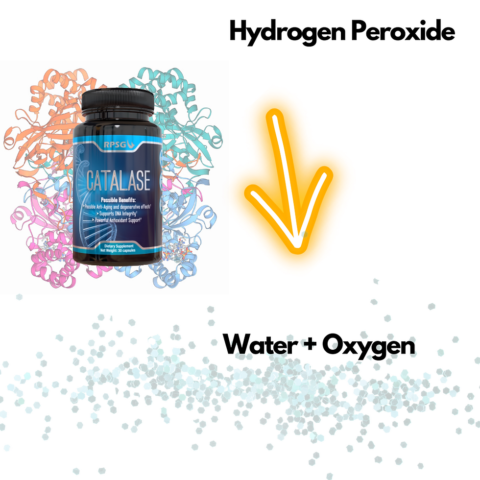 Thumbnail: Pure Catalase 15,000 CATu (600mg) Supplement Antioxidant to Neutralize Hydrogen