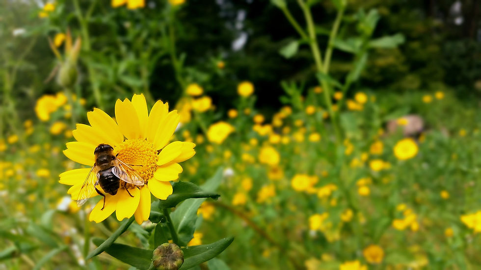 20170918_115603.jpg