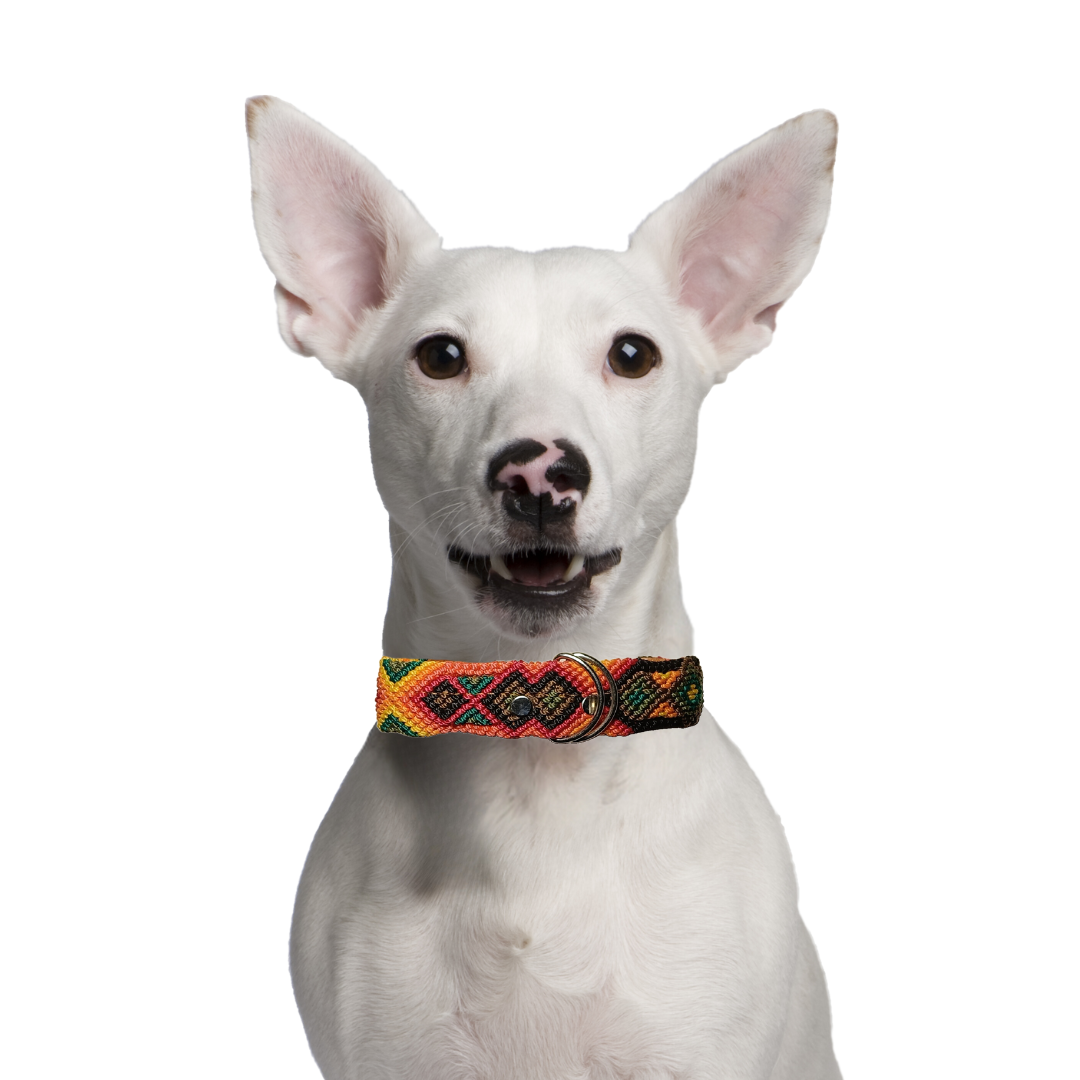 Collar Tzotzil mediano