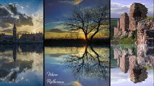 ree