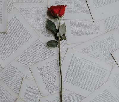 I am a Rose that has many Petals the papers of my life all written. . .