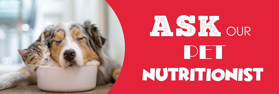 ask our nutritionist 