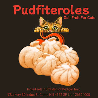 cat treat