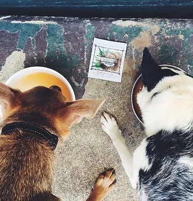 L Barkery Stockists