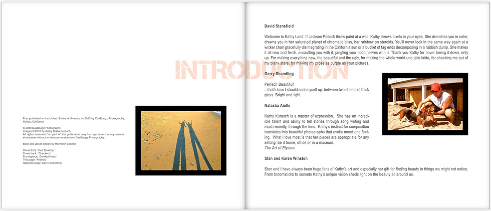 DasBoogz Photography Introduction