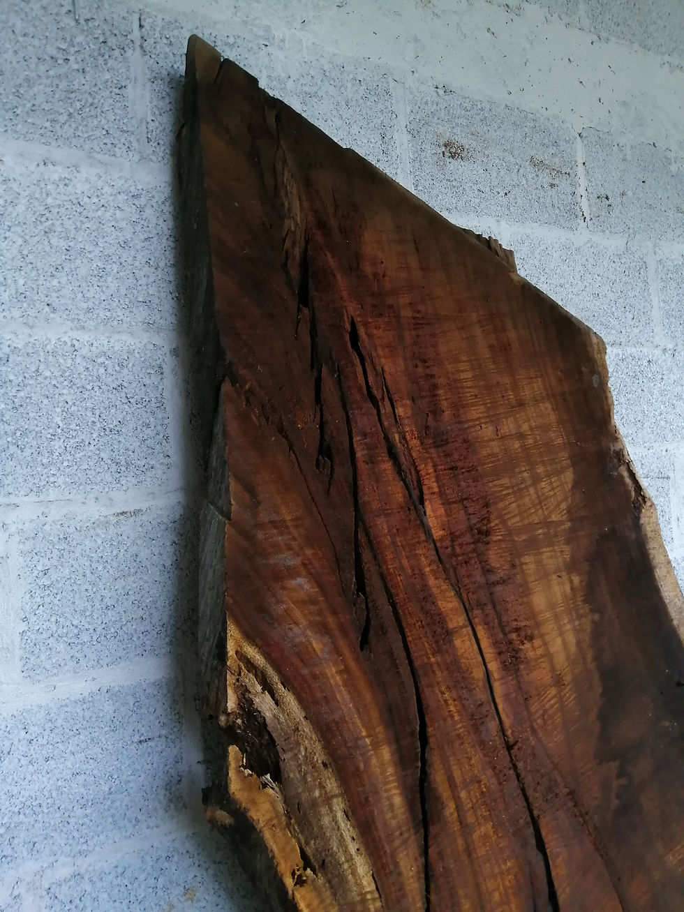 Miniatura: Losa de Totuma - TP0038