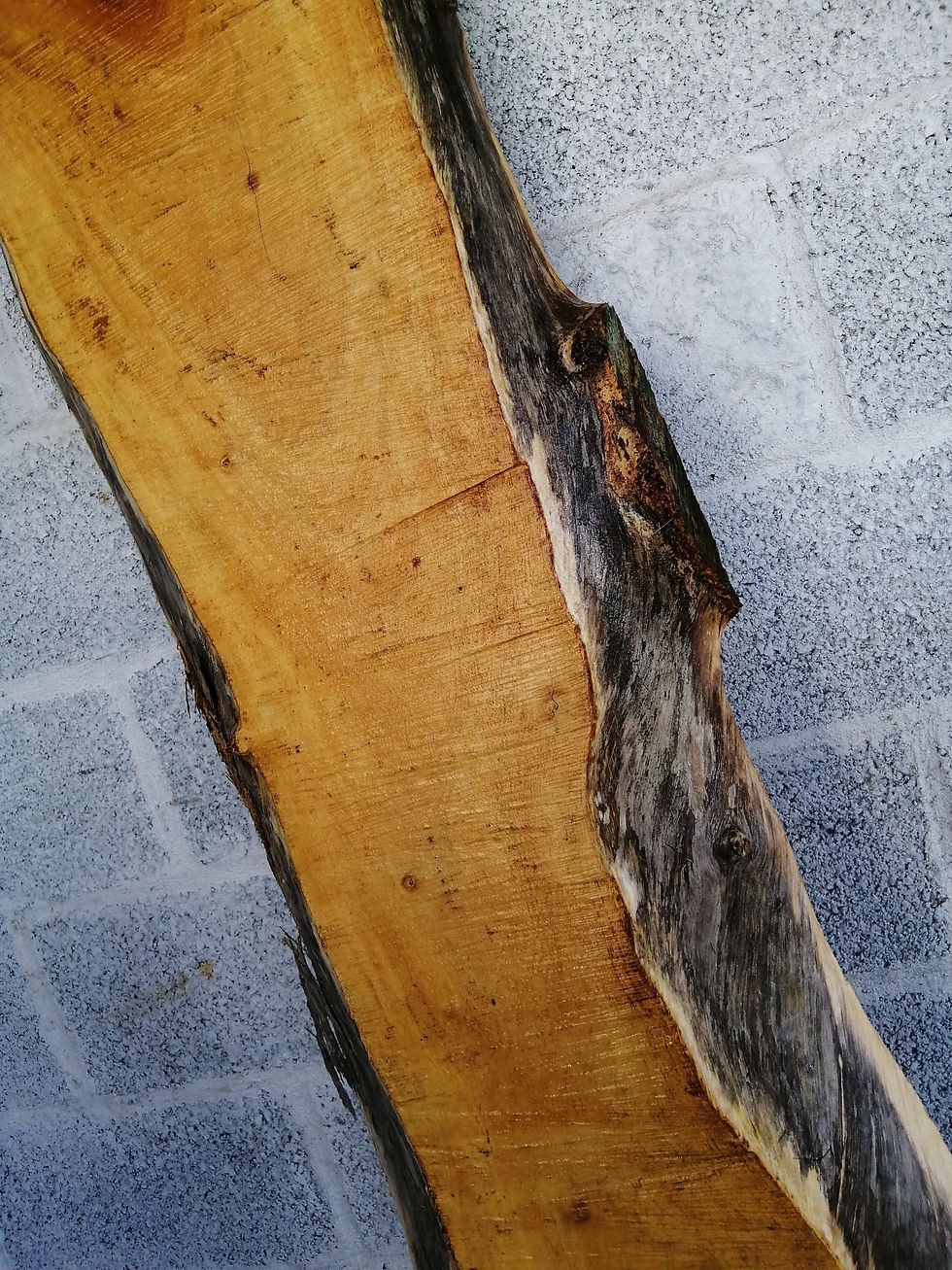 Miniatura: Totuma Slab - TP0048