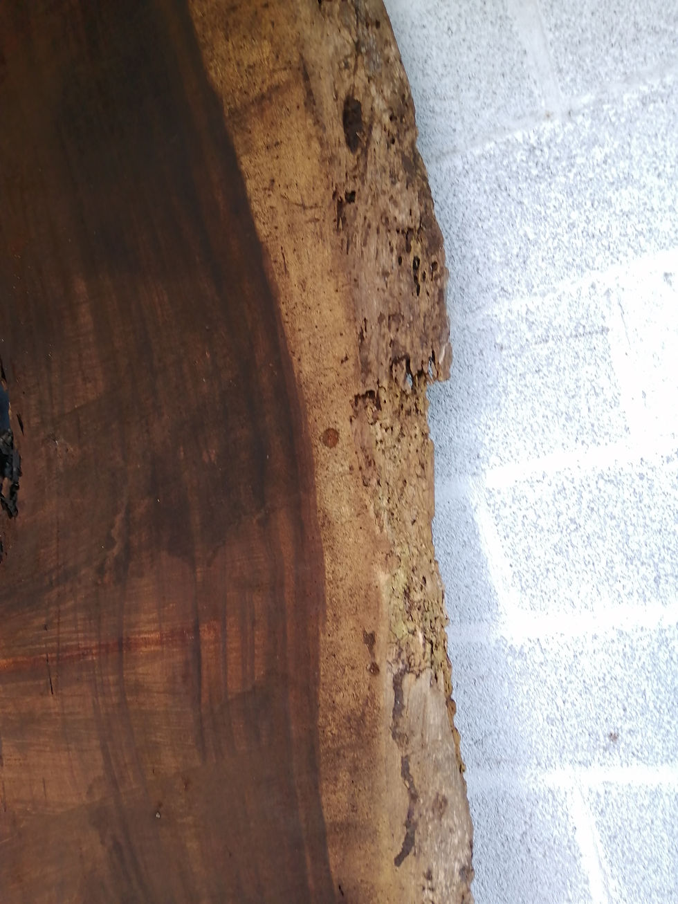 Thumbnail: Totuma Slab - TP0041