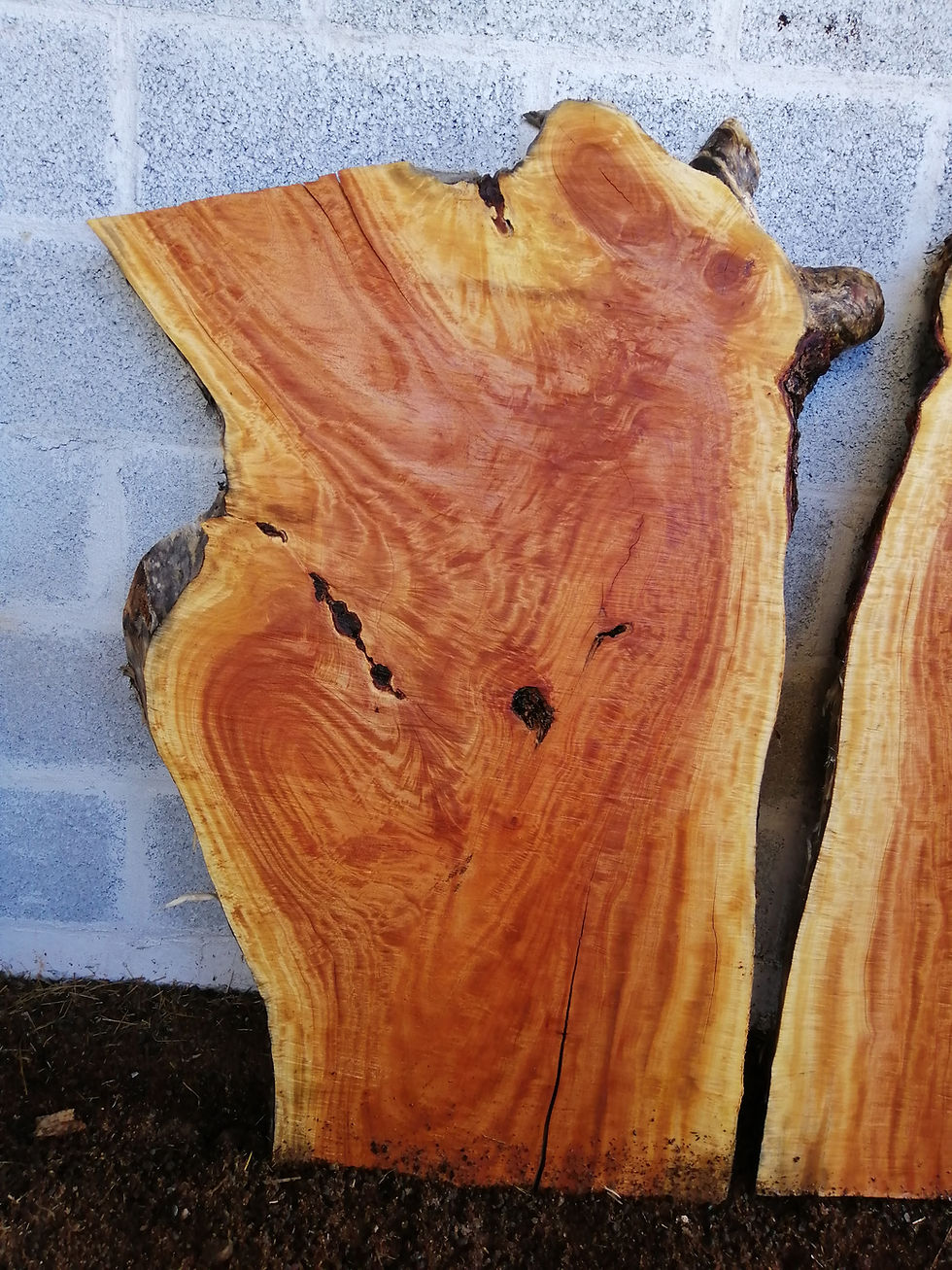 Thumbnail: Totuma Slab - TP0045 A&B