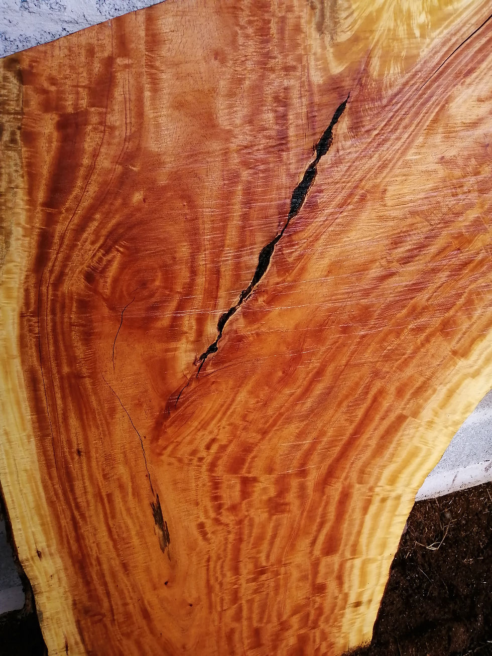 Thumbnail: Totuma Slab - TP0044 A