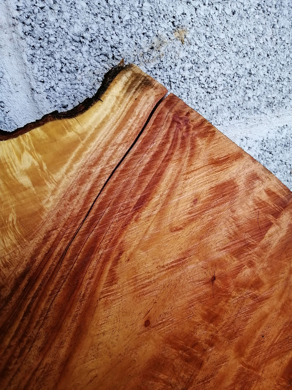 Miniatura: Totuma Slab - TP0044 A